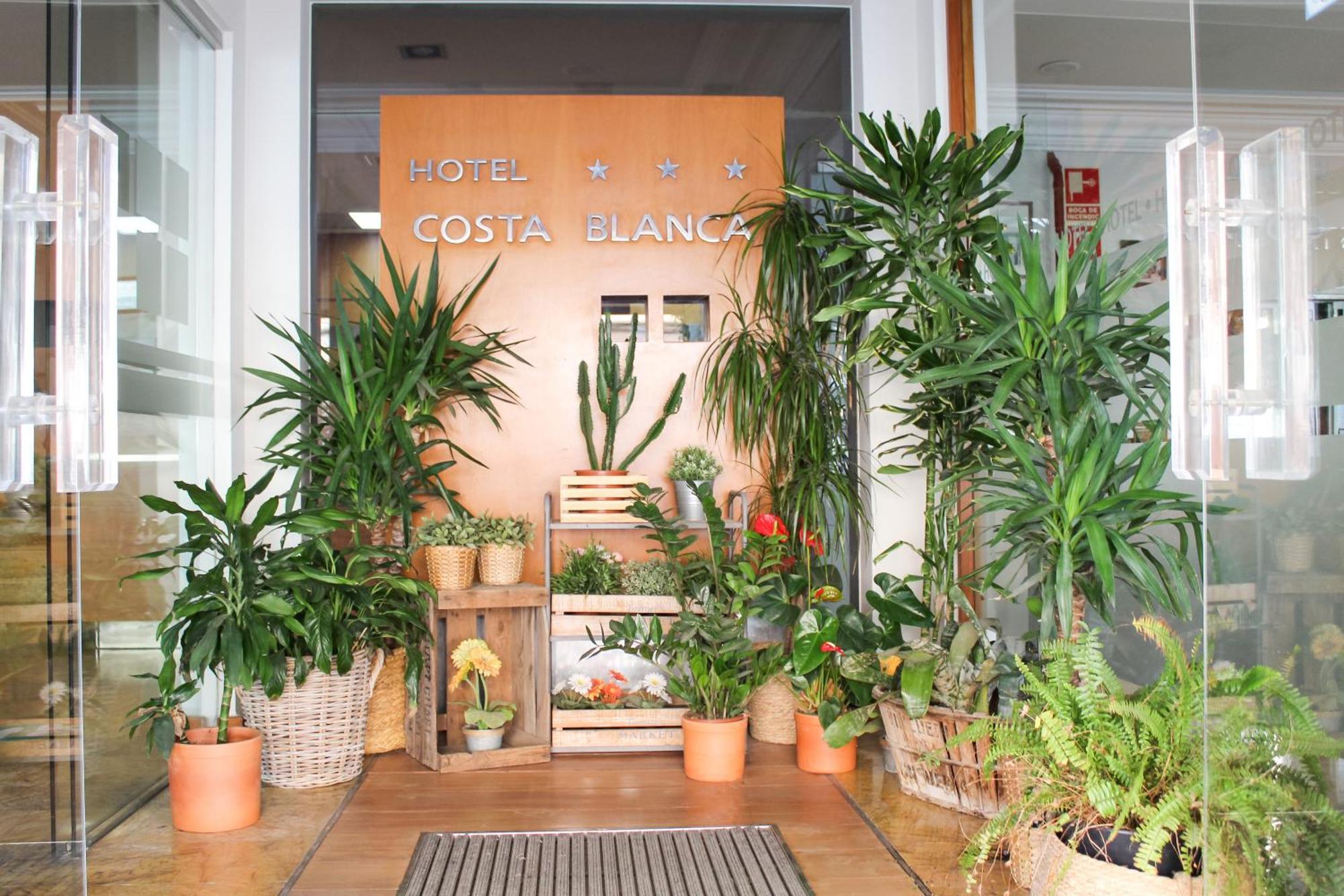 Hotel Mr Costa Blanca Denia Dış mekan fotoğraf